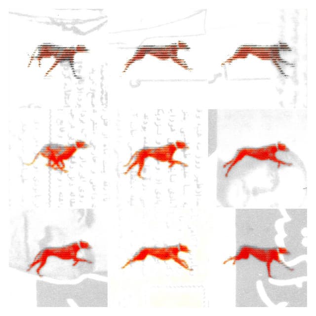 Don't Worry by Umami