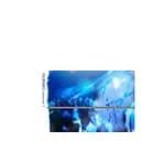 the worse that could happen